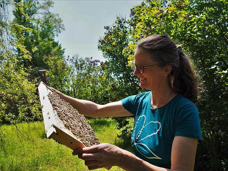 Bienenprodukte - natürlich für Ihre Gesundheit 8 Biene7