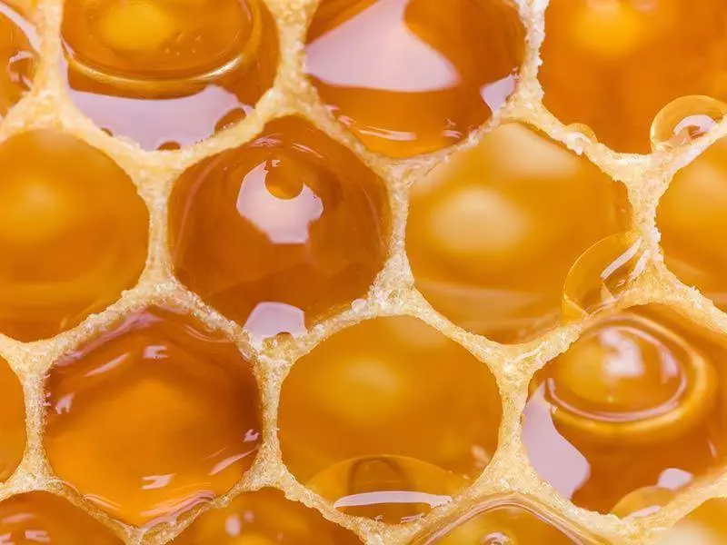 Imkerei Wissenswertes 11 Bienenwaben