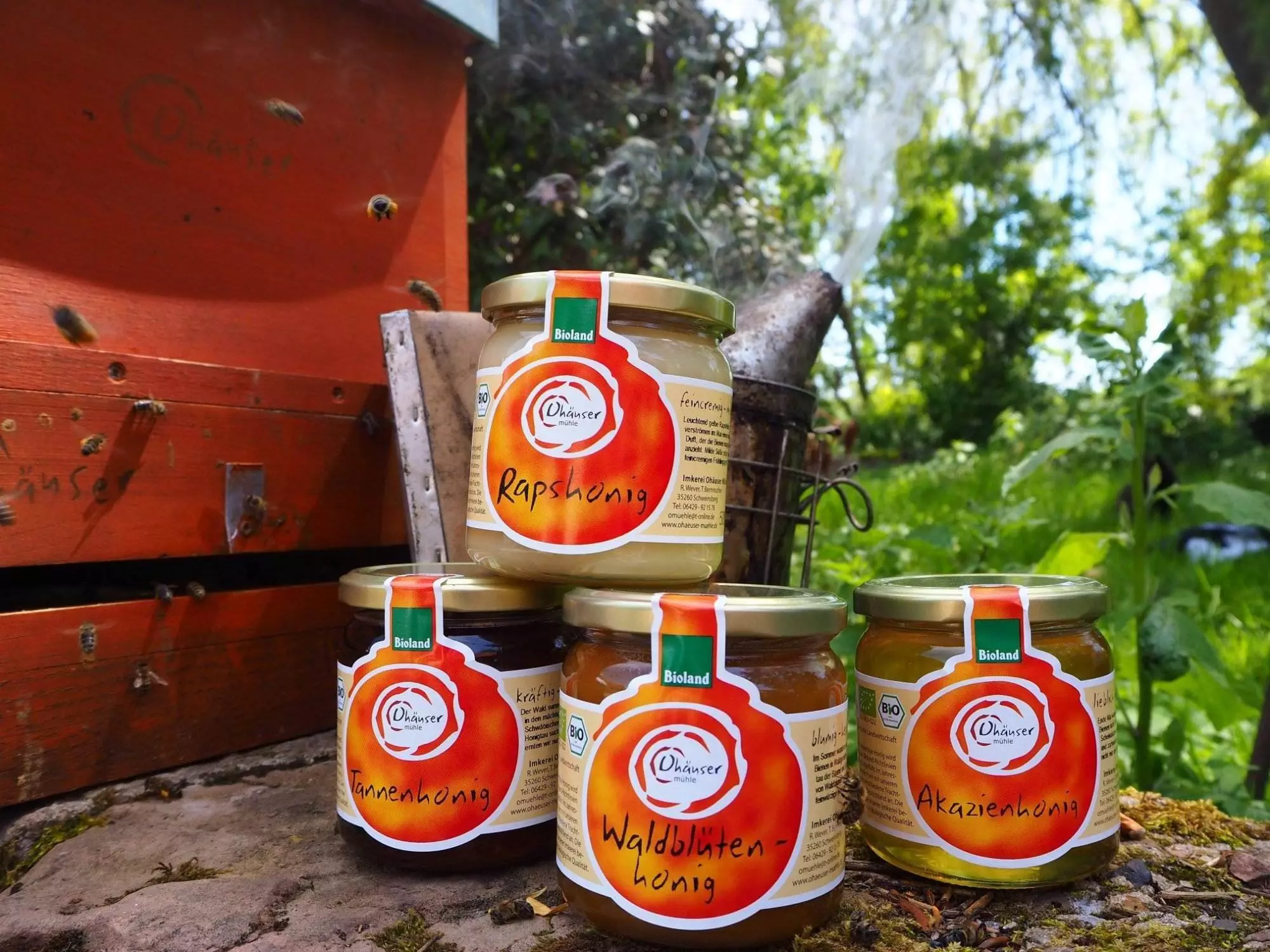 Bienenprodukte - natürlich für Ihre Gesundheit 4 Honig4