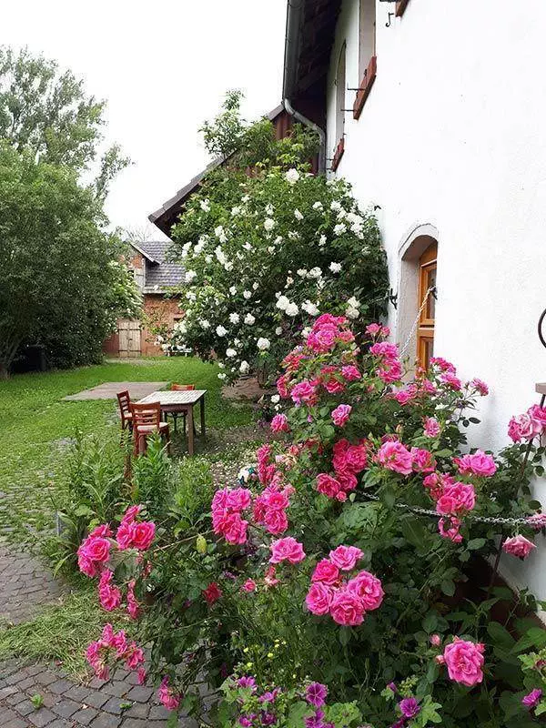 Schulbauernhof - Bauernhof für Kinder 5 Ohaeuser Muehle Schulbauernhof
