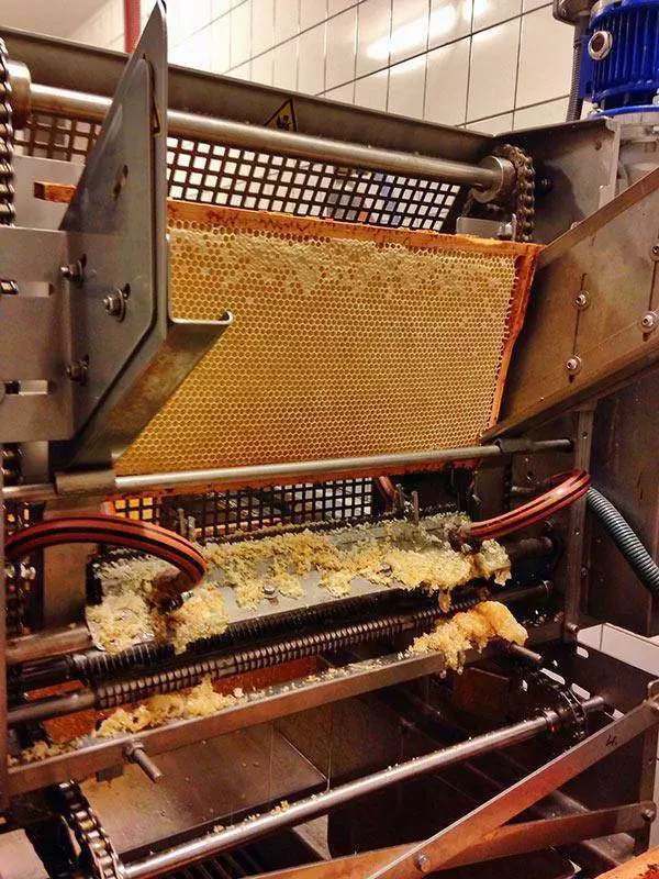 Bienenprodukte - natürlich für Ihre Gesundheit 12 Schleuderung Honig
