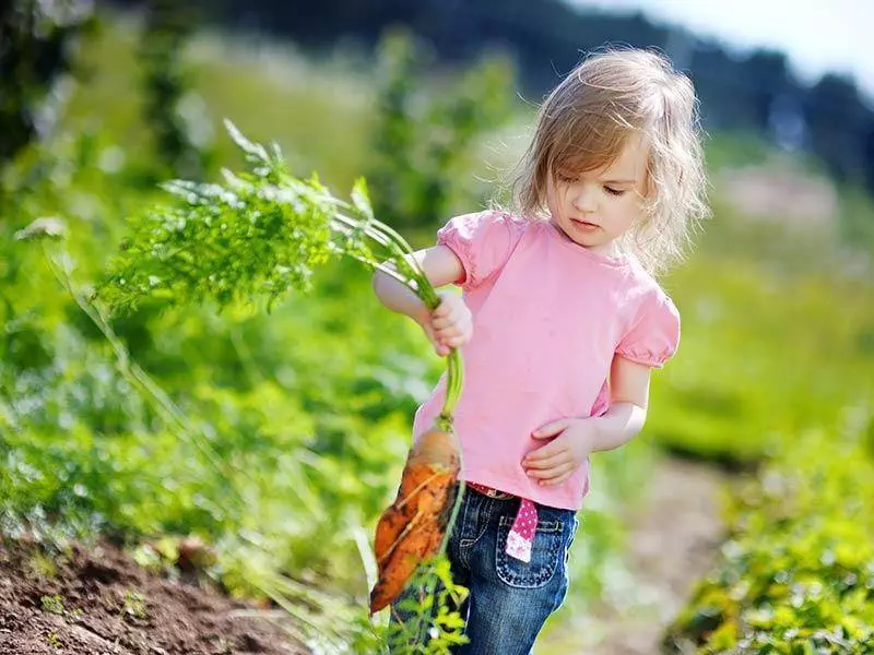 Schulbauernhof - Bauernhof für Kinder 4 schulbauernhof kind2
