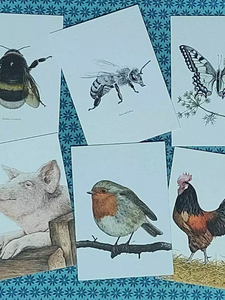 liebevoll illustrierte Postkarten